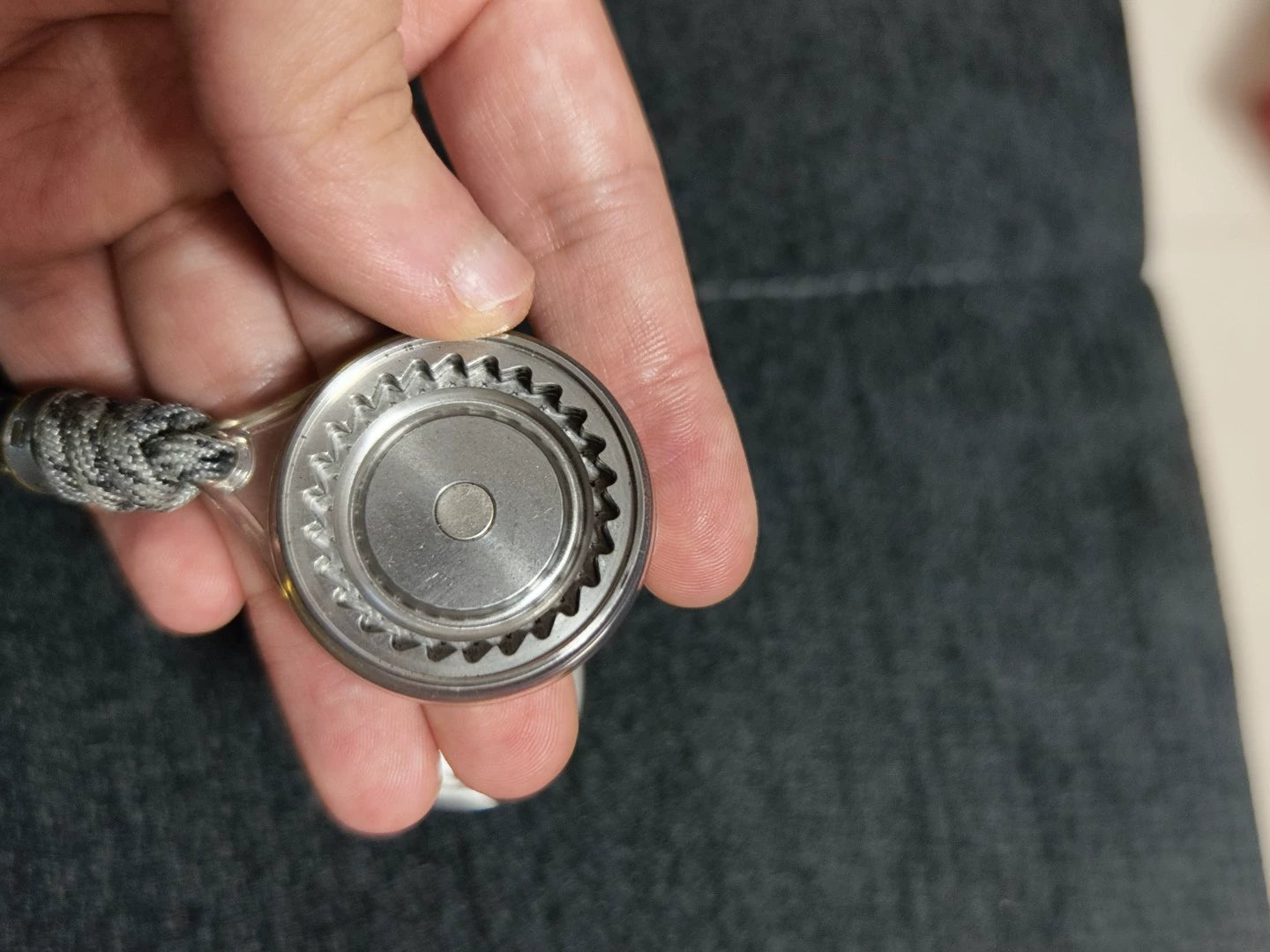 Pig Coin Stainless Steel