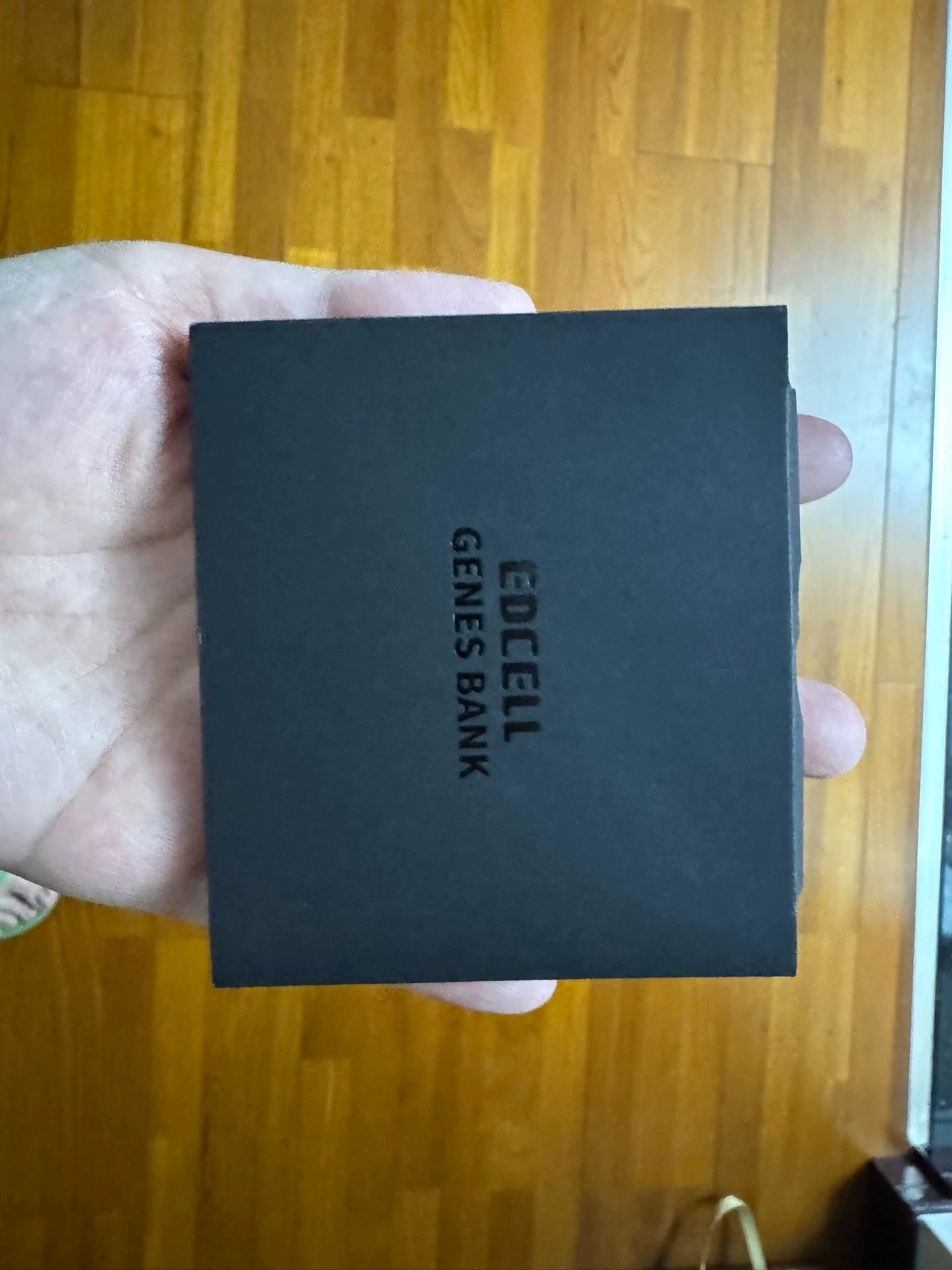 Quirky Ruler Titanium