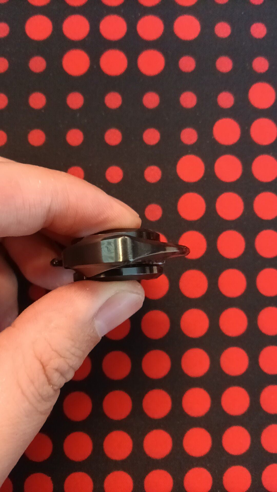 Baby Dolphin Zirconium