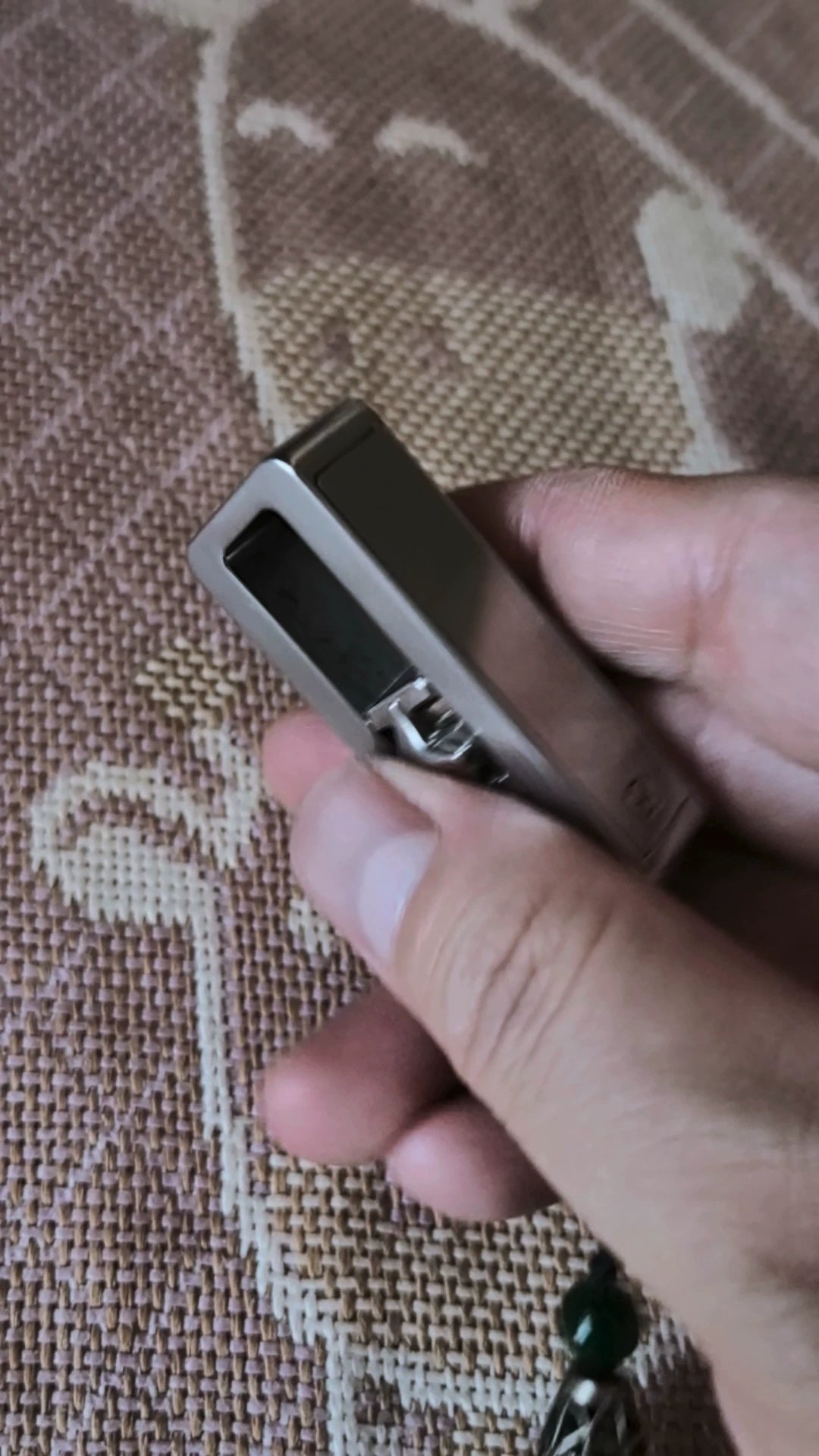 Crunchy Shark Stainless Steel