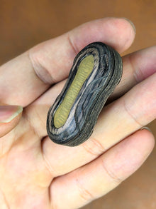 LEAP Collector’s Techwood