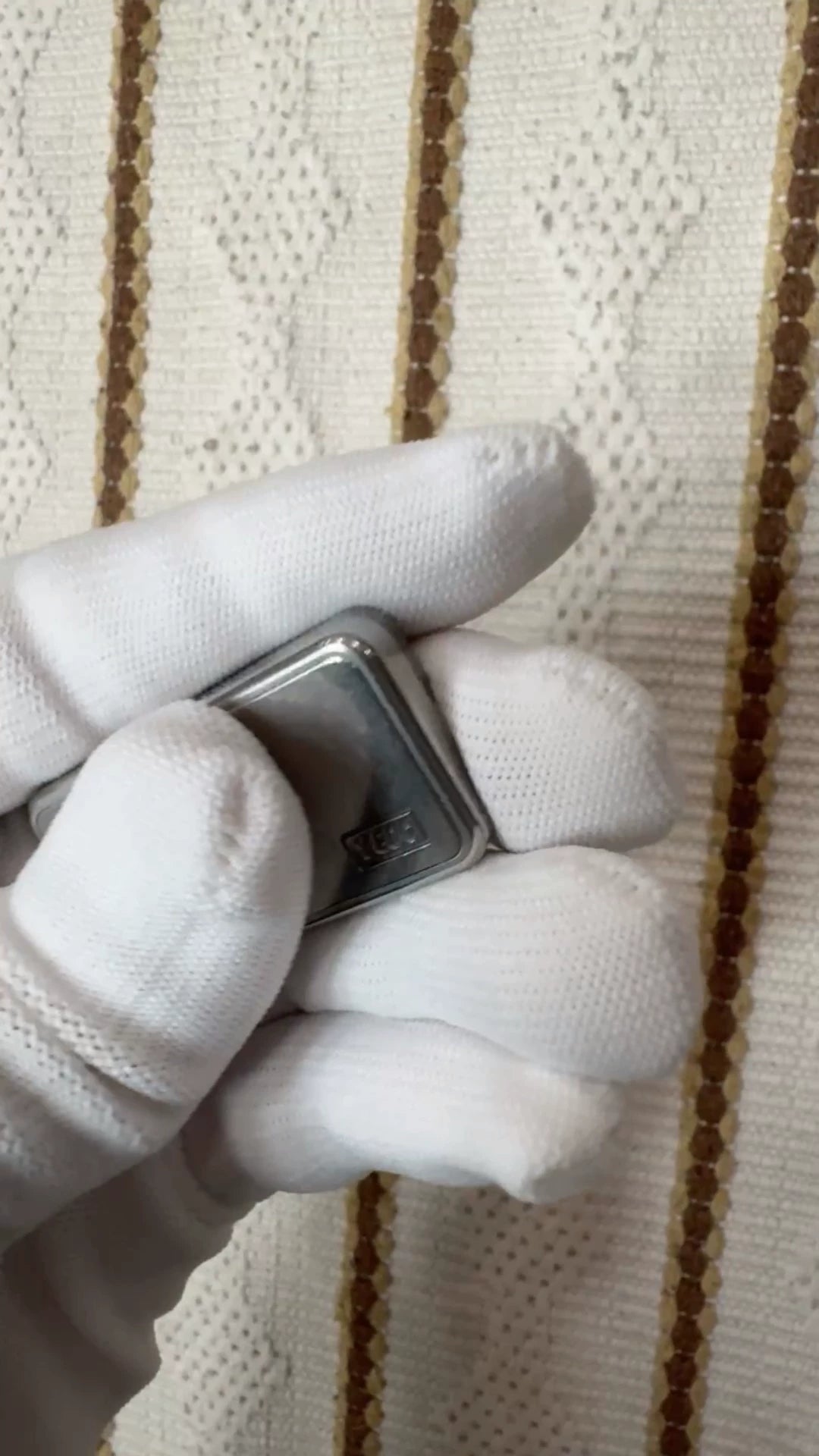 Pig Nose Stainless Steel