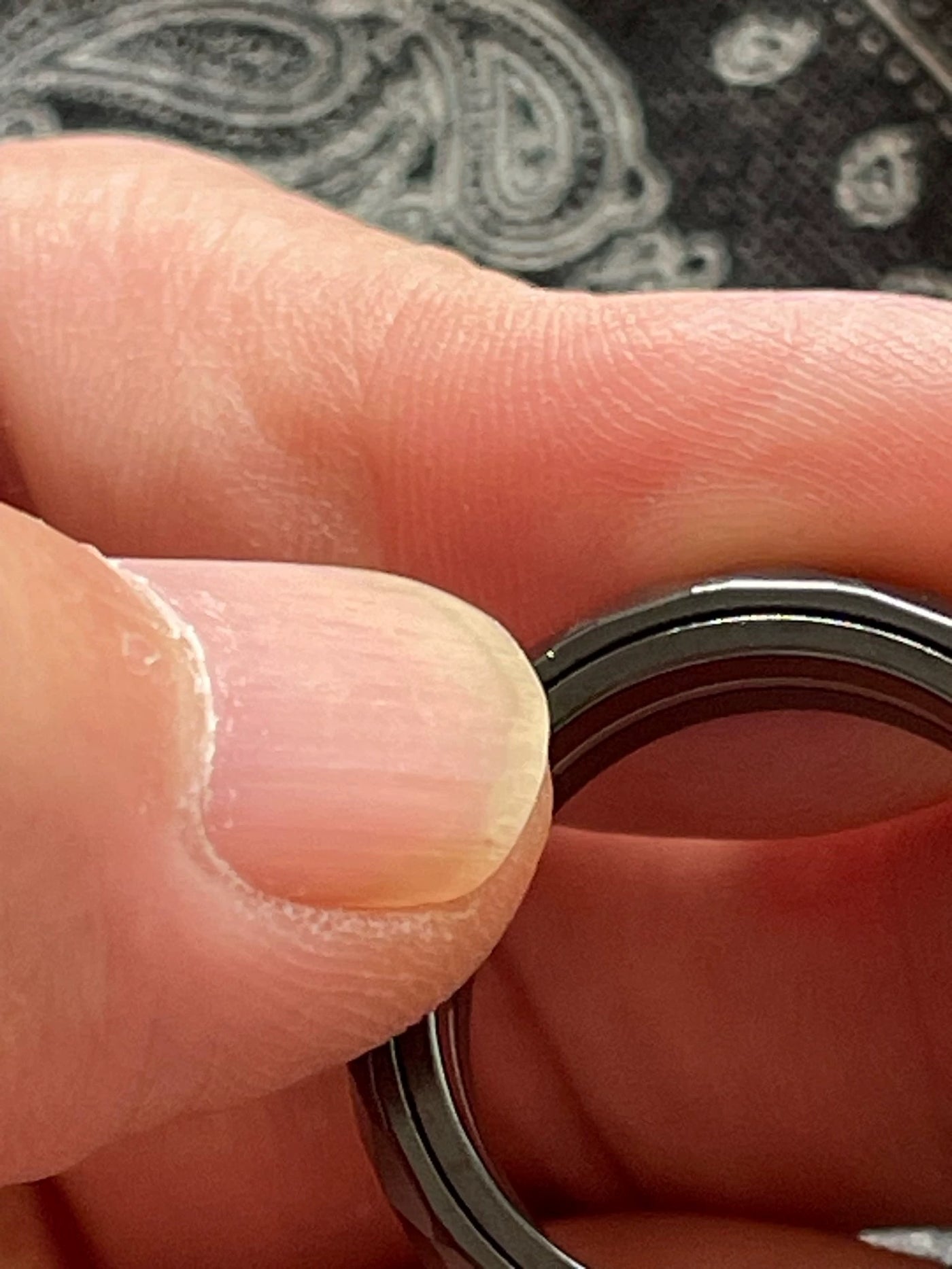 Pig Ring Zirconium Size #24