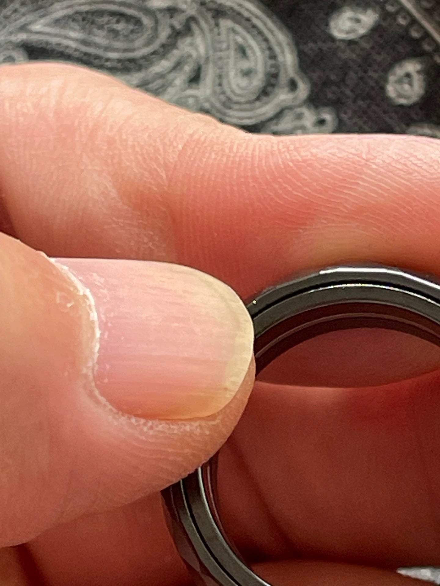 Pig Ring Zirconium Size #24