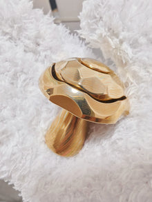 Poisonous Mushroom Mokume