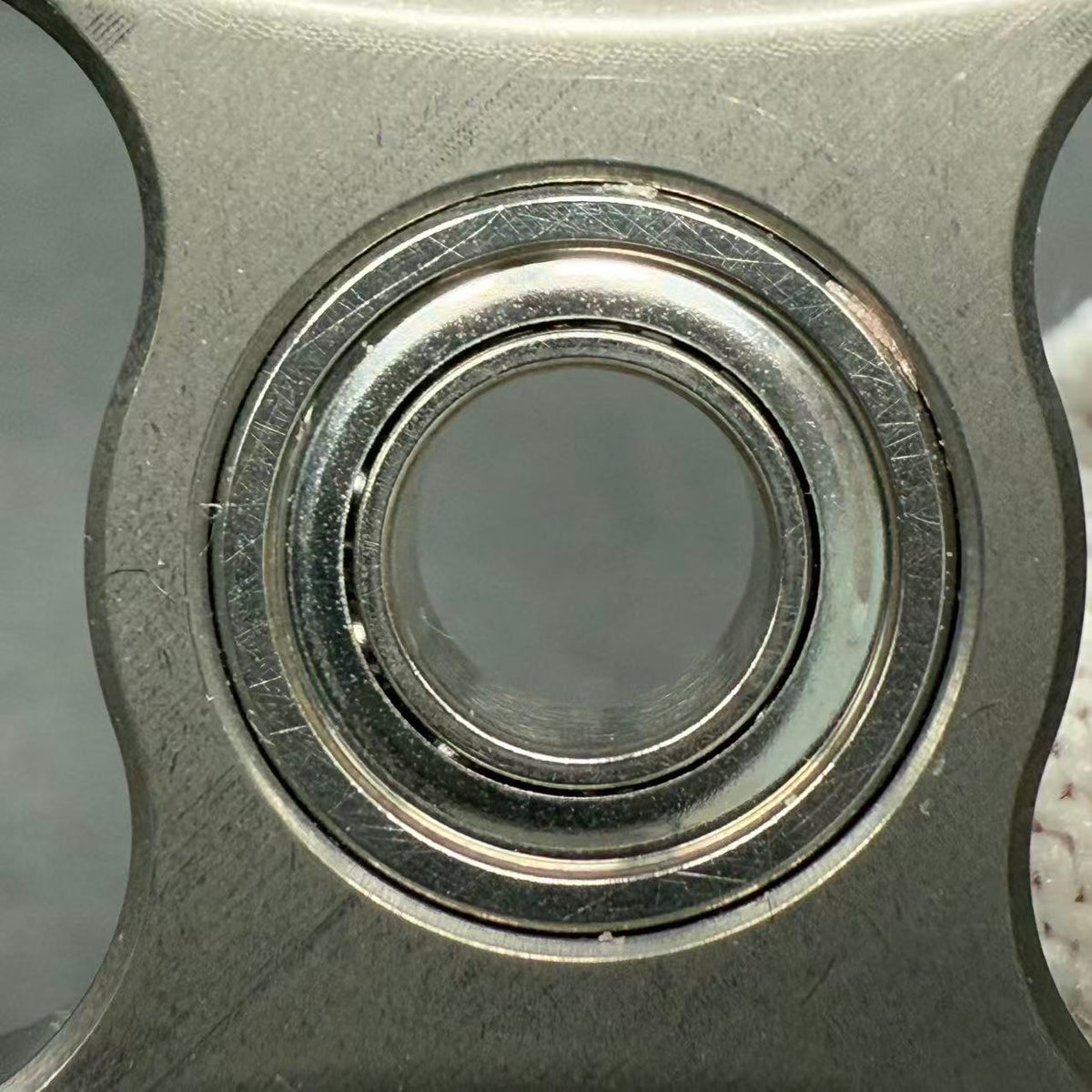 Two-Leaf Horizon Mega Titanium Stonewashed