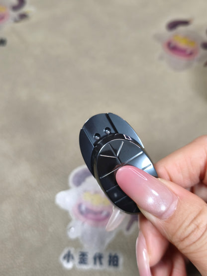 Jingle Beetle Zirconium Polished