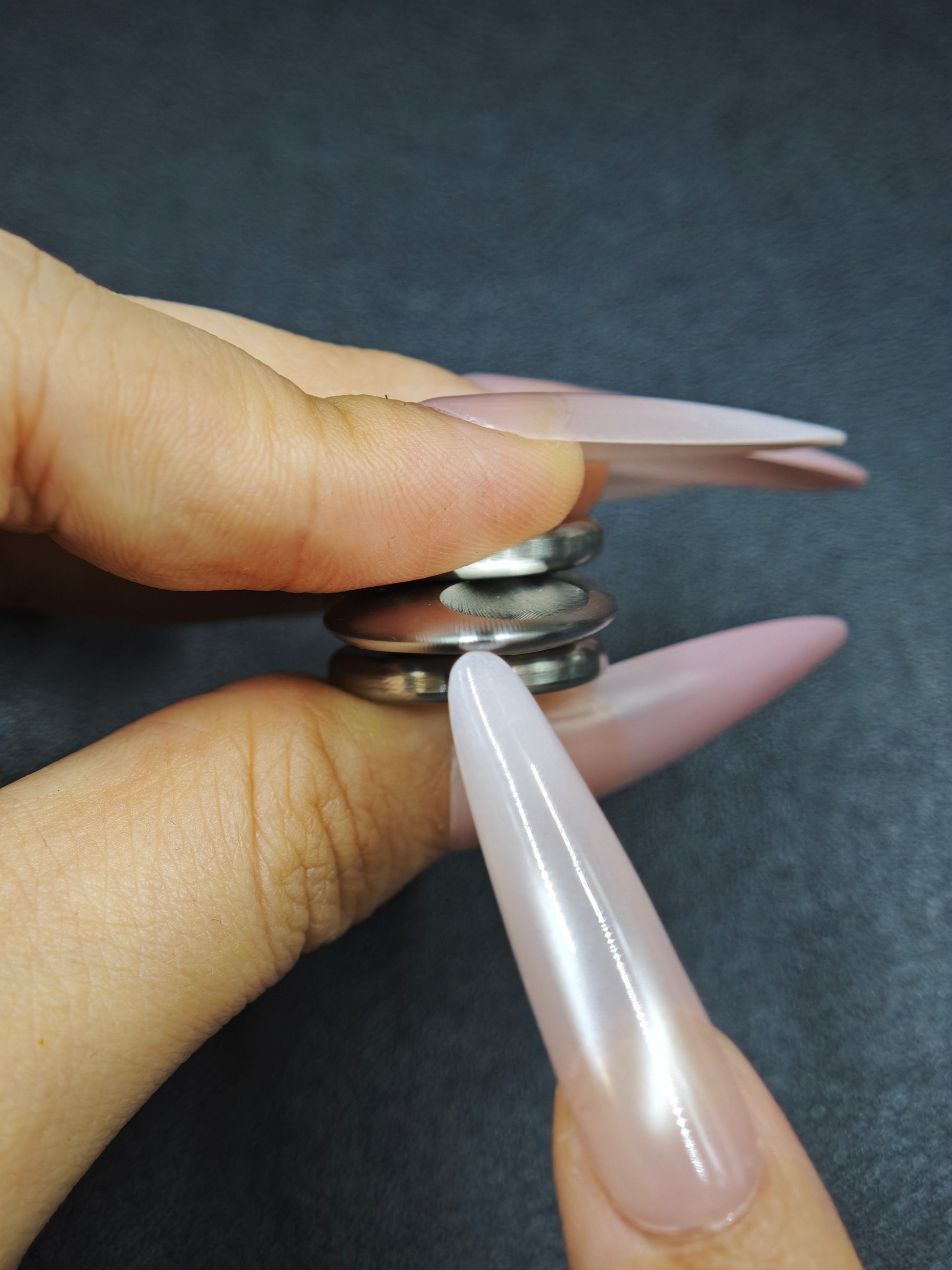 Dragonfly Stainless Steel