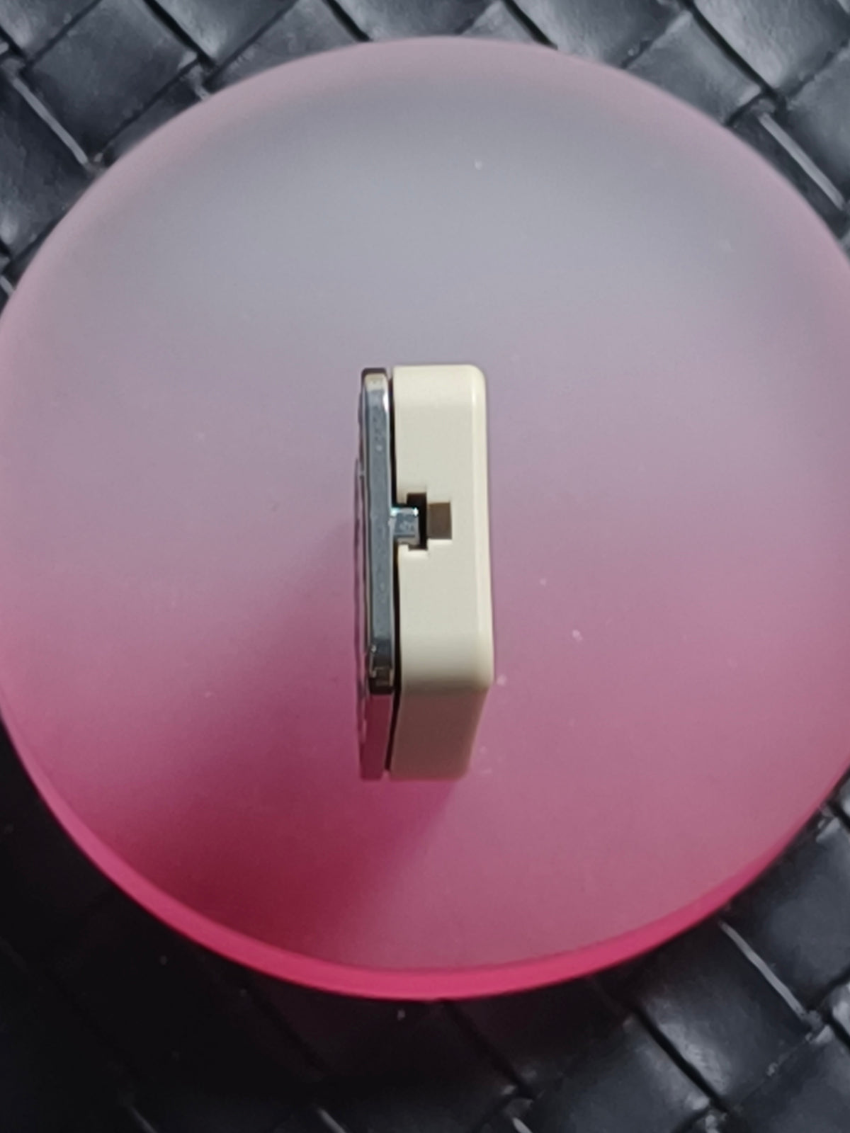 Cicada Chant Spring Titanium