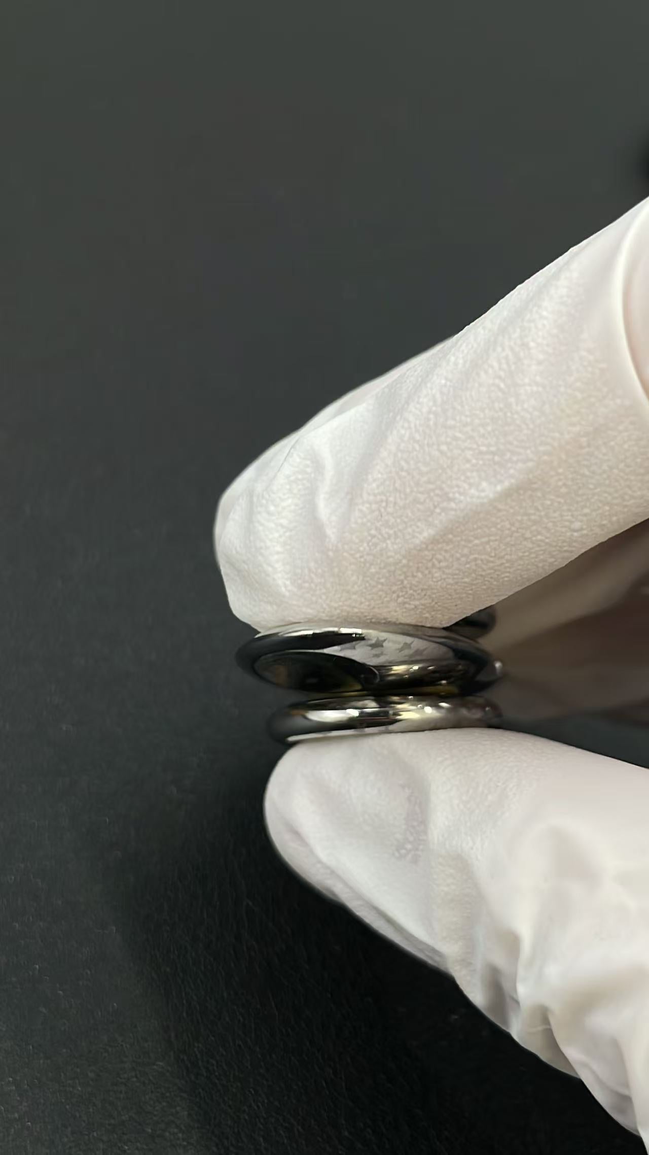 Dragonfly Stainless Steel