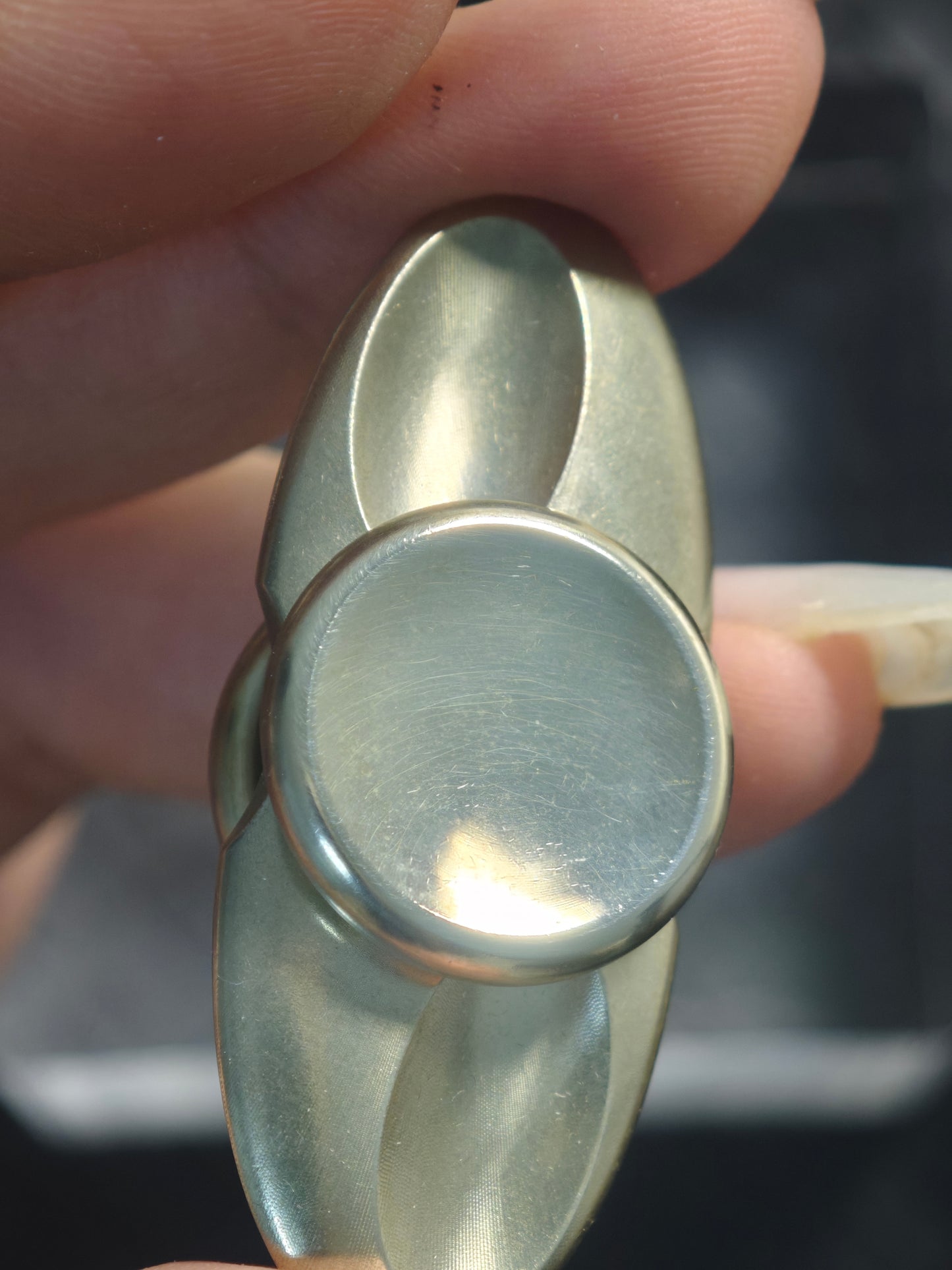 Dragonfly Stainless Steel