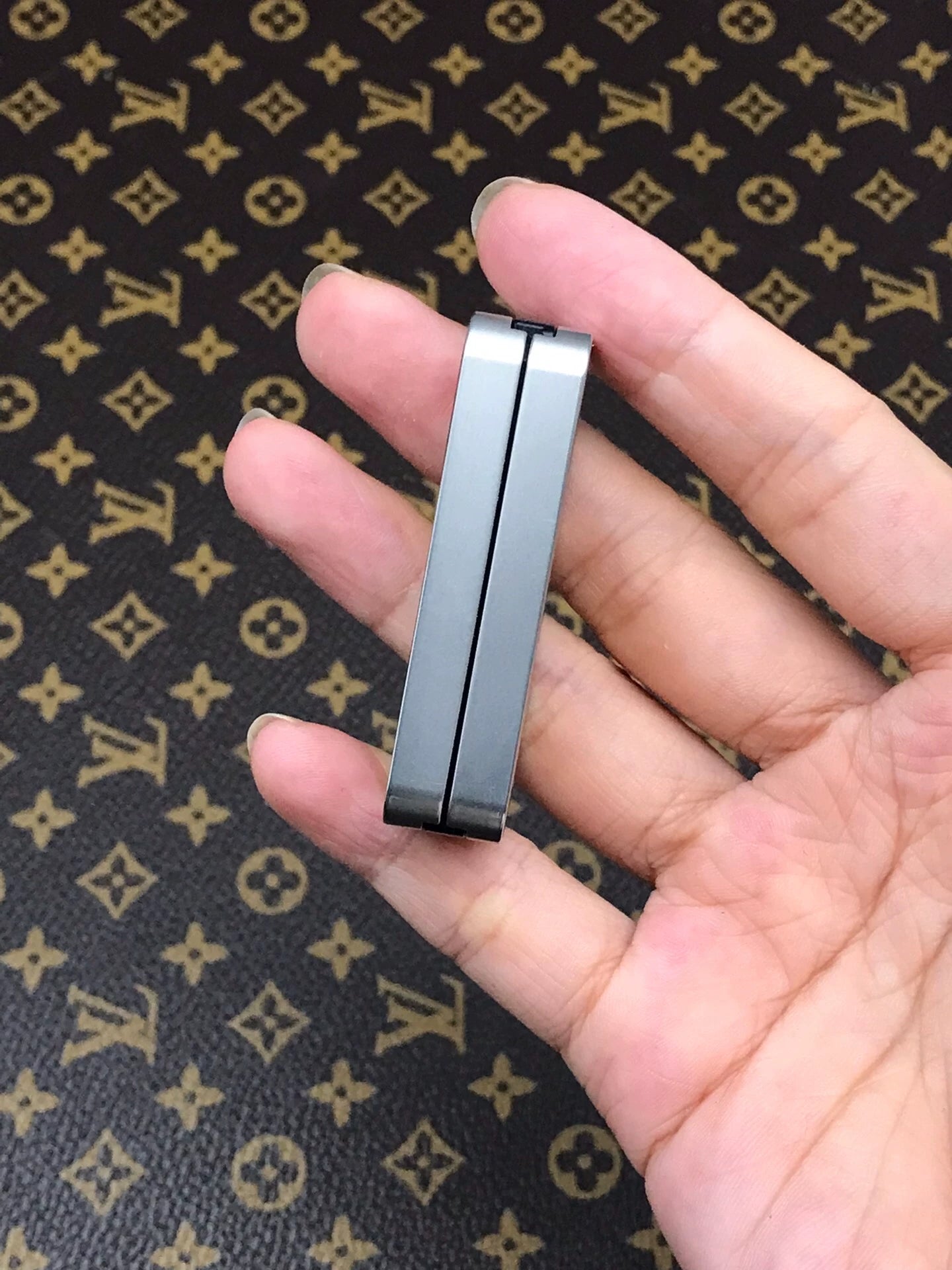 The Wandering Dragon Stainless Steel