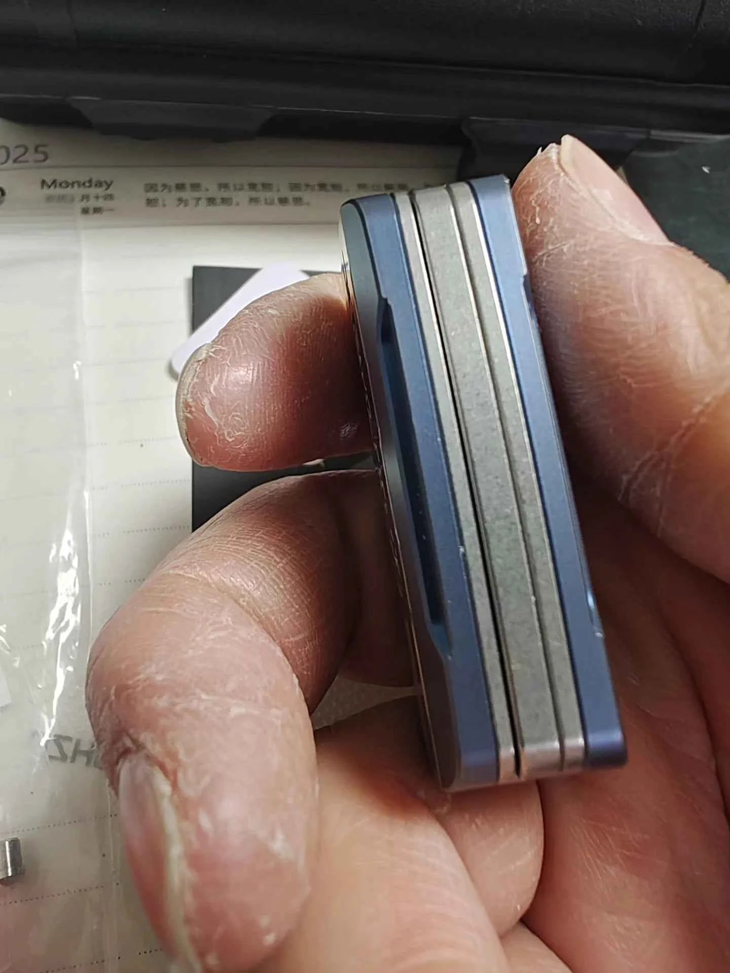 Triassic Stainless Steel