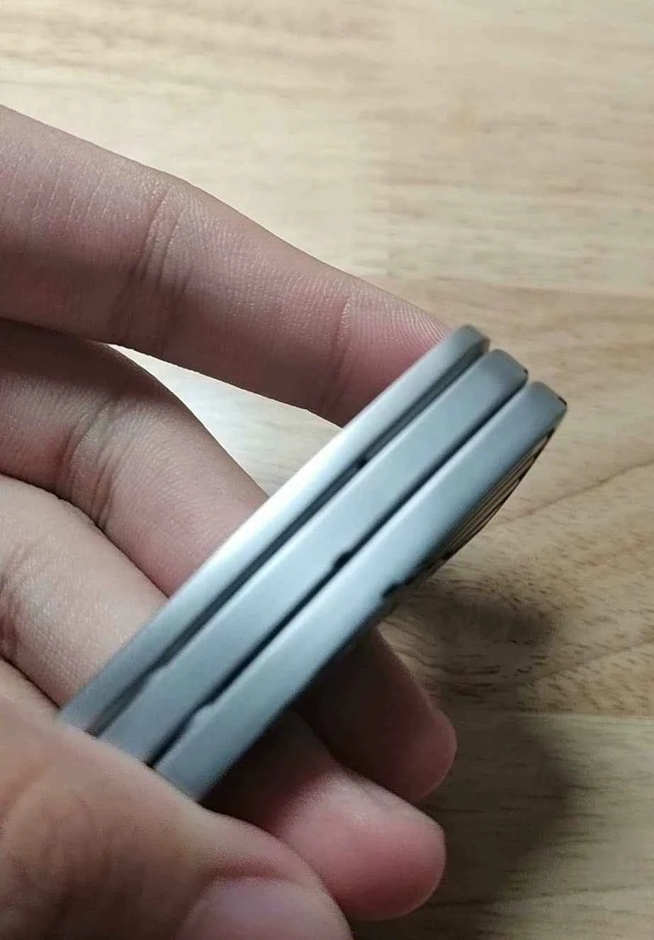 Peacock Feather Stainless Steel