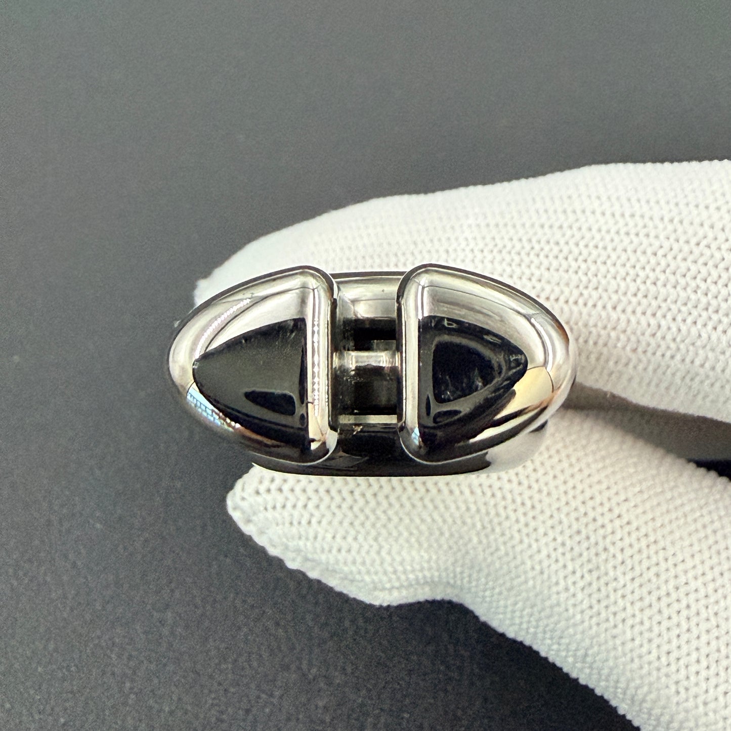 Sentinel Titanium Polished