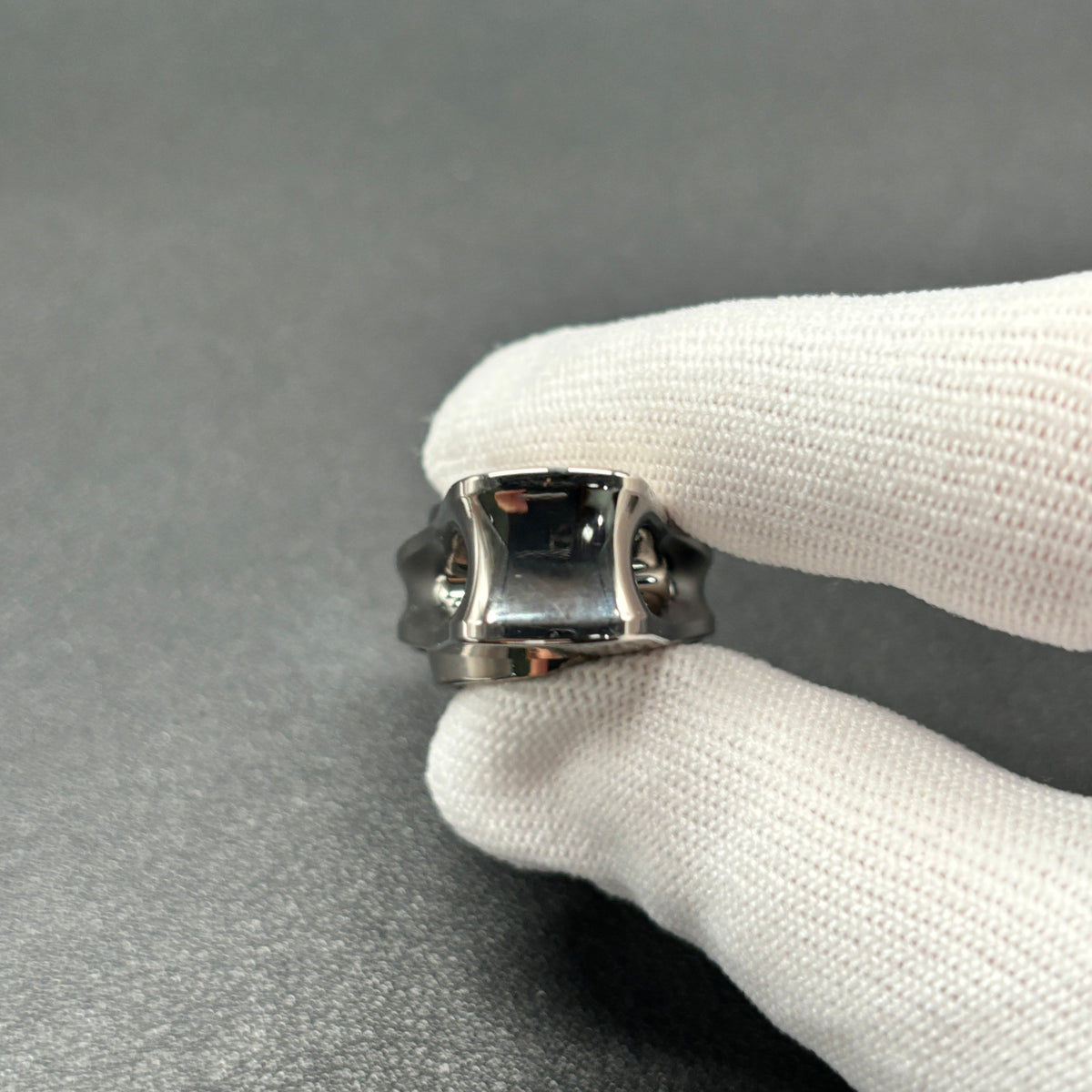 Oumuamua Premium & Buckle Titanium Polished