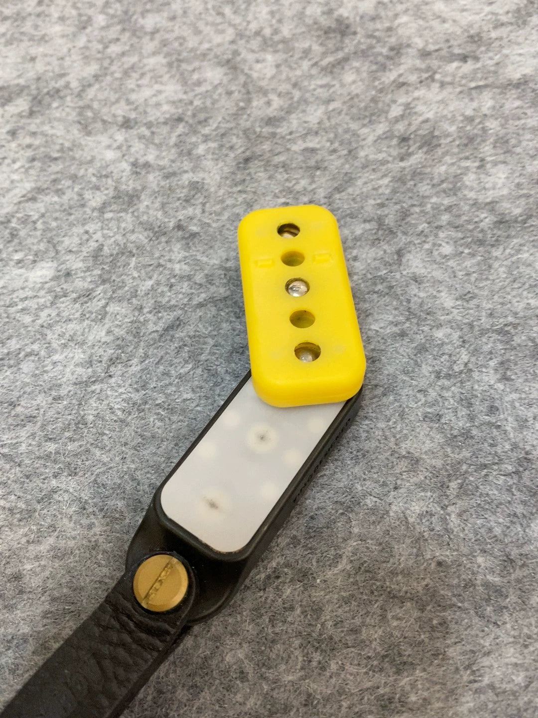 Fortune Cookie Titanium