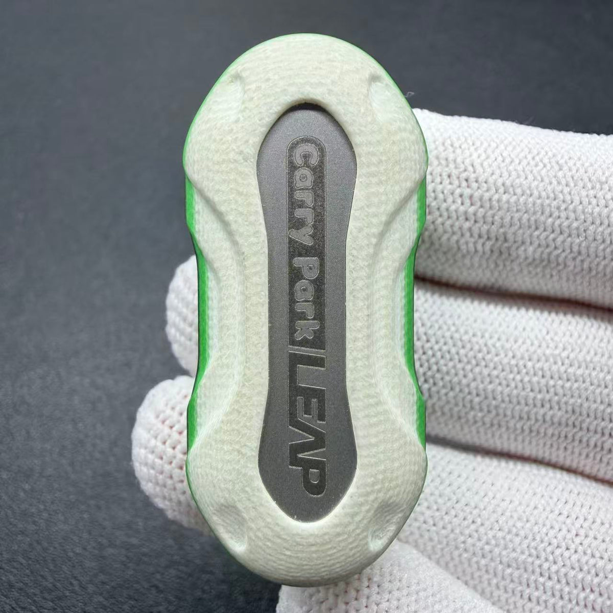 Leap Collector G10