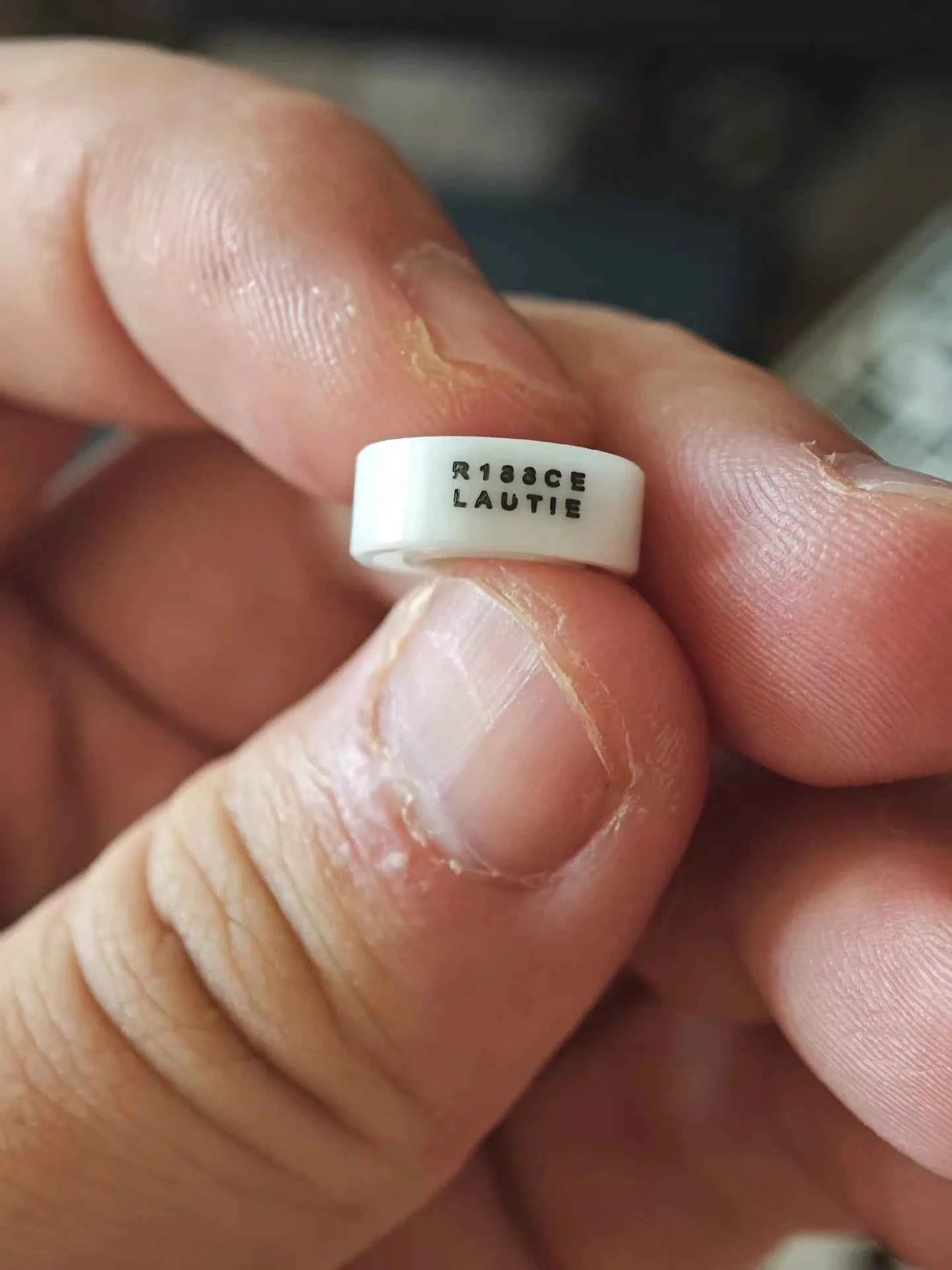 Noiz Stainless Steel