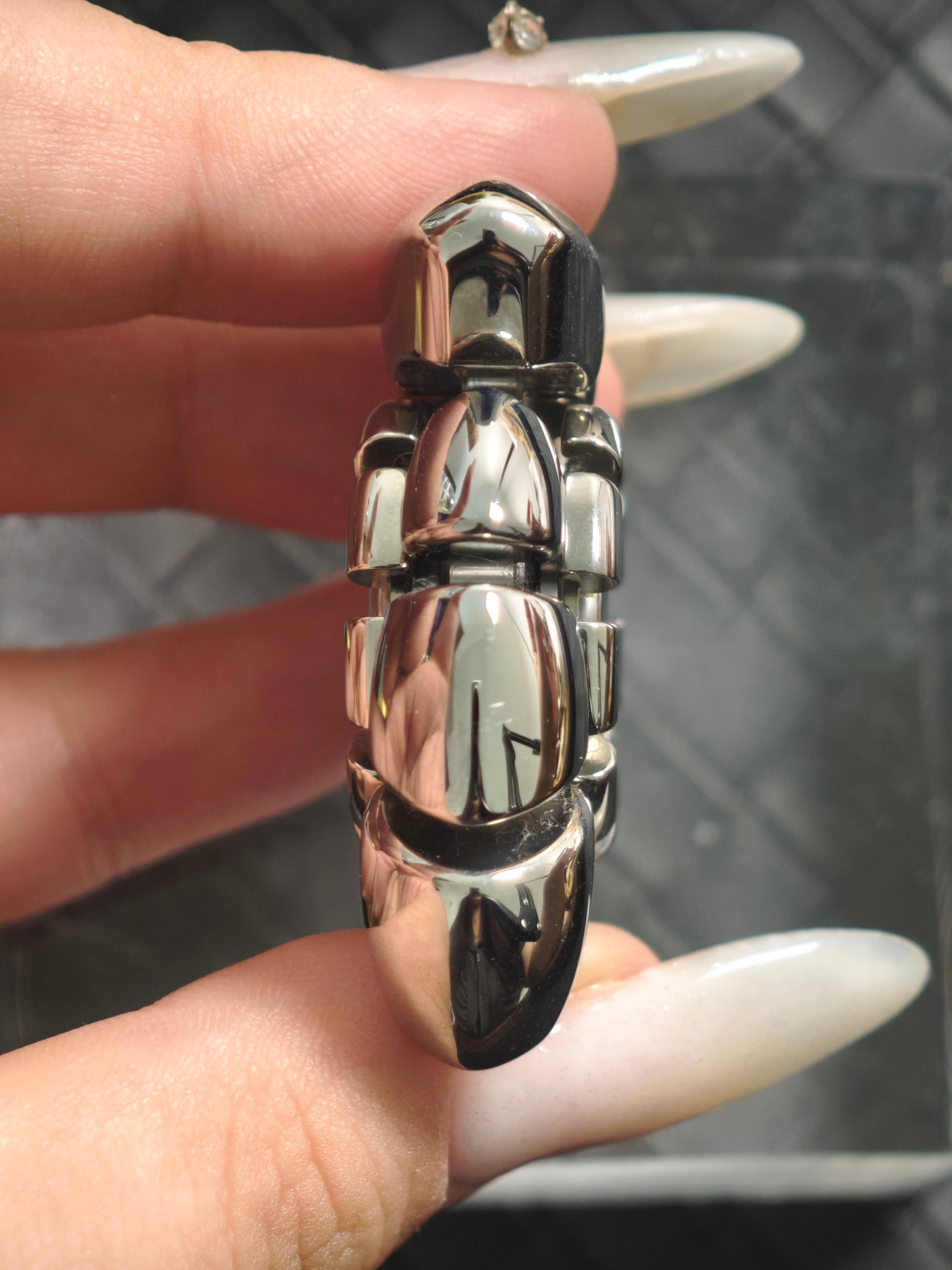 Nautilus Dragon Ridge Stainless Steel