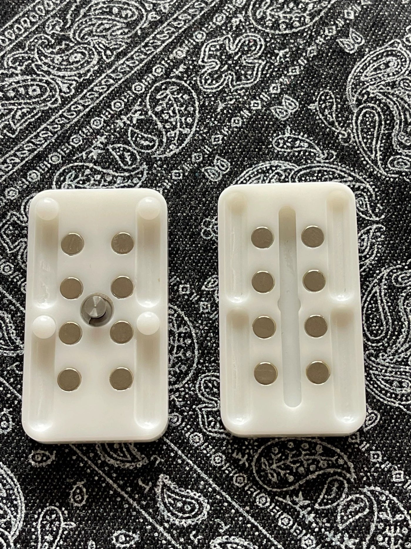 Pig Nose Ceramic