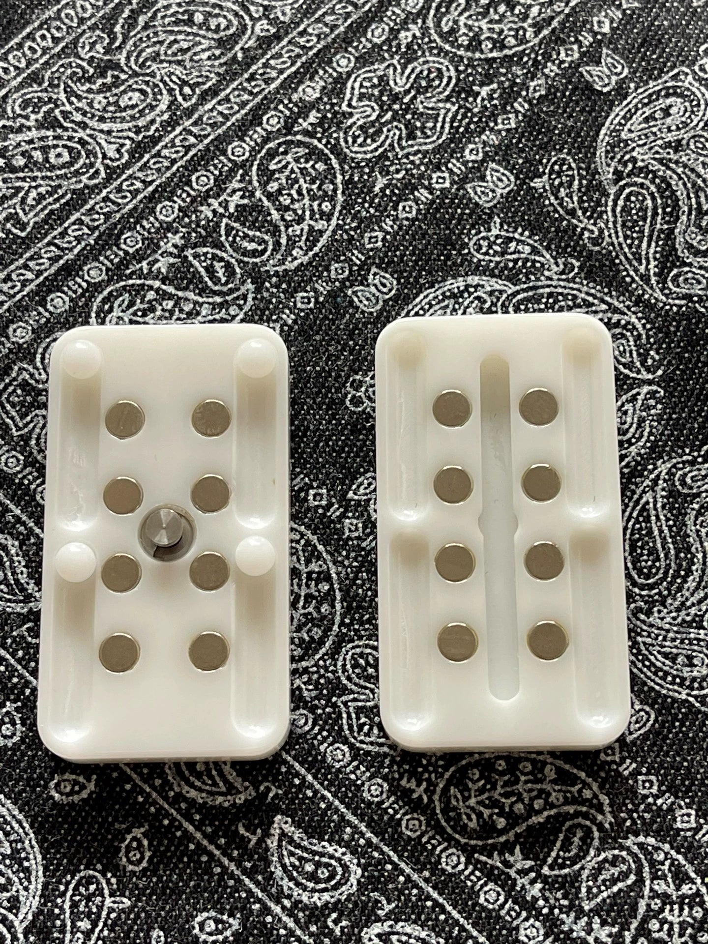Pig Nose Ceramic