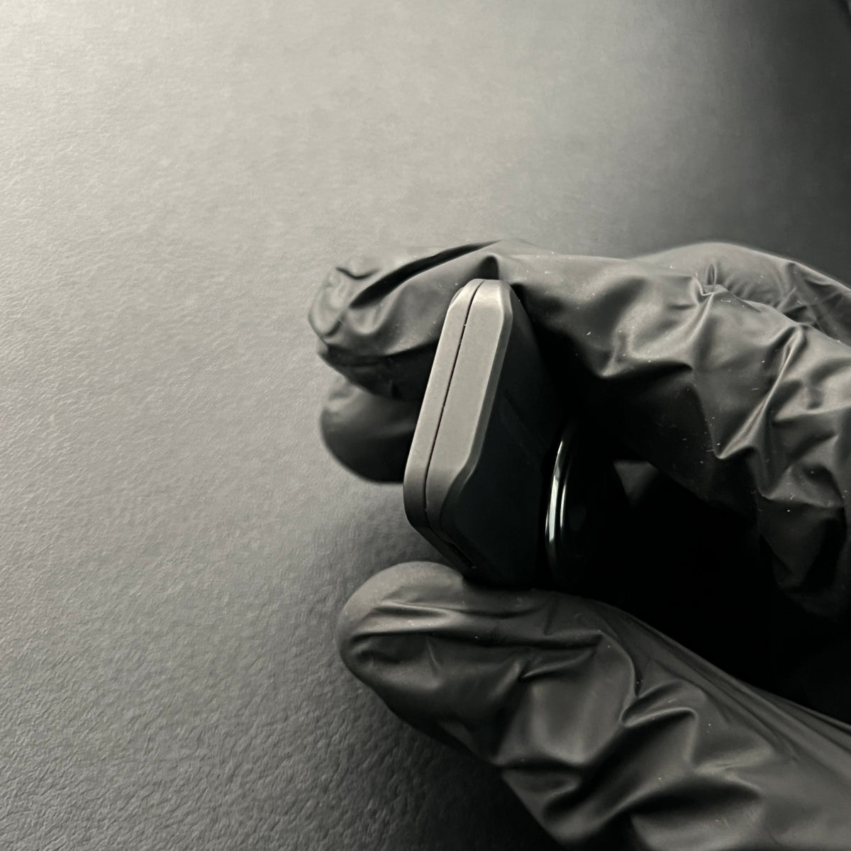 Cicada Titanium