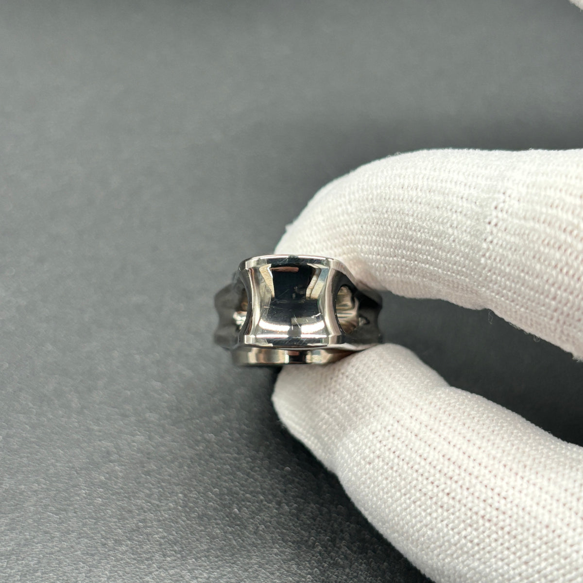 Oumuamua Premium & Buckle Titanium Polished