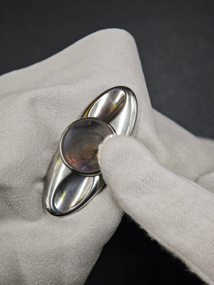 Dragonfly Stainless Steel