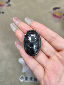 Jingle Beetle Zirconium Polished