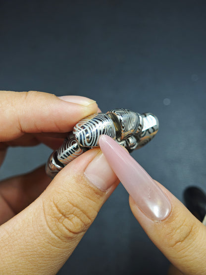 Nautilus Dragon Ridge Stainless Steel