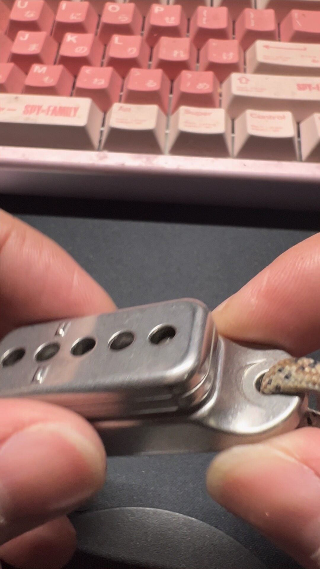 Fortune Cookie Stainless Steel