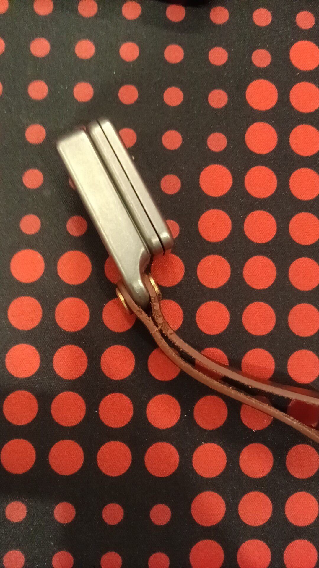 Fortune Cookie Titanium