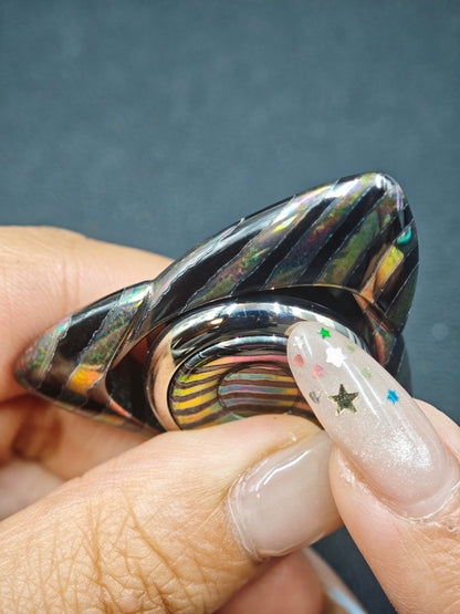 Wind Zircuti