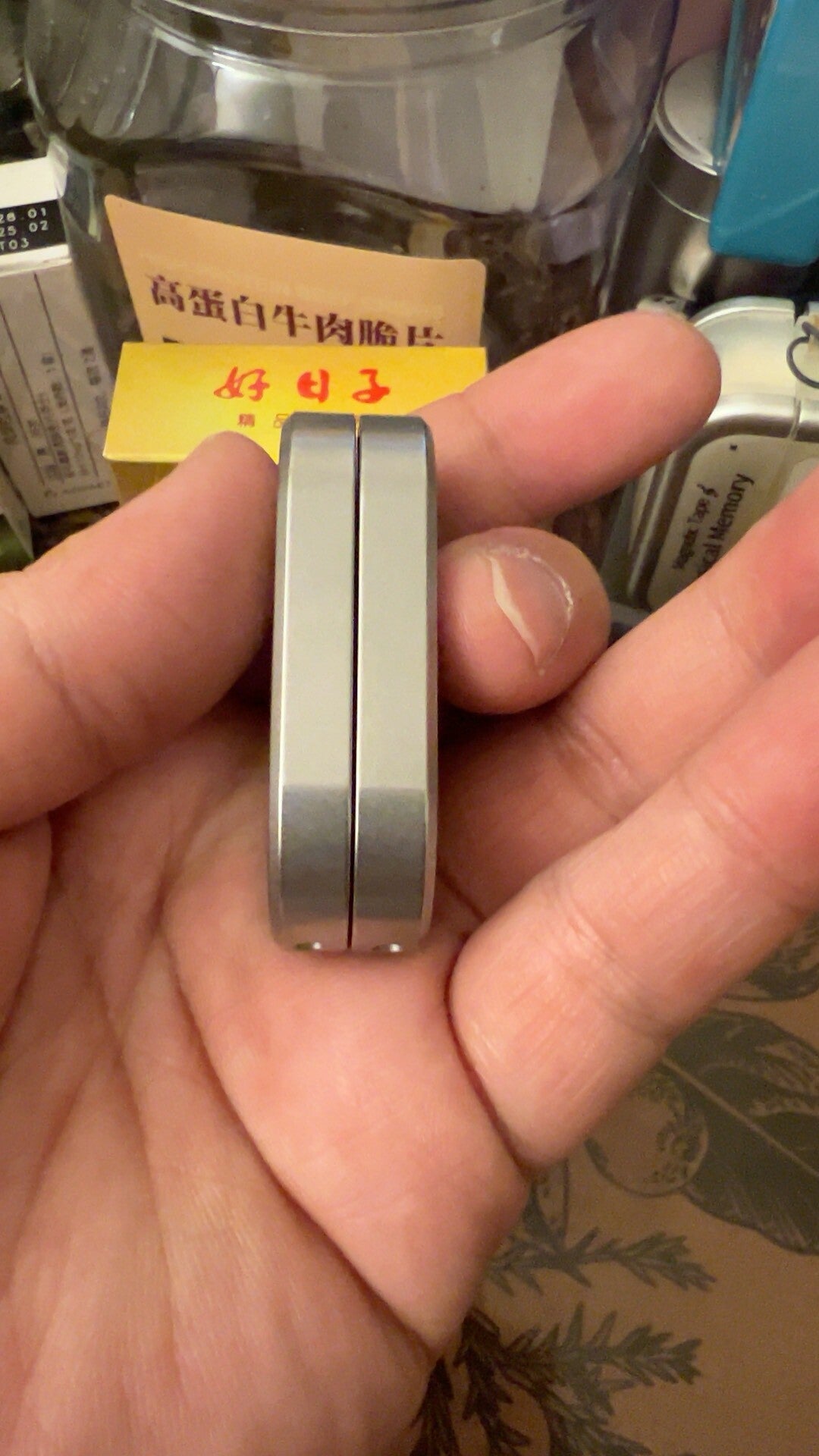 Guardian X1 Stainless Steel