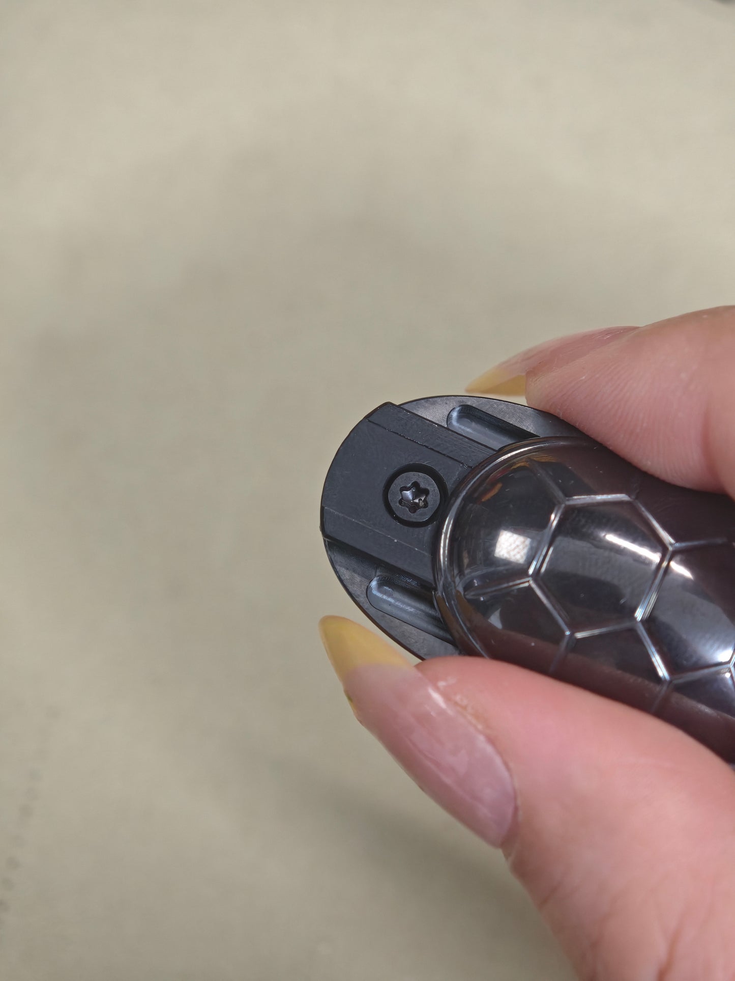 Jingle Beetle Zirconium