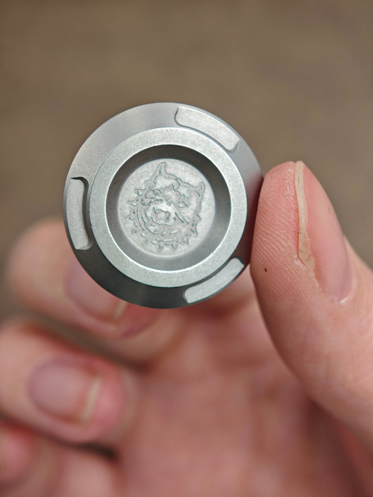 Asura Shell Opening Stainless Steel