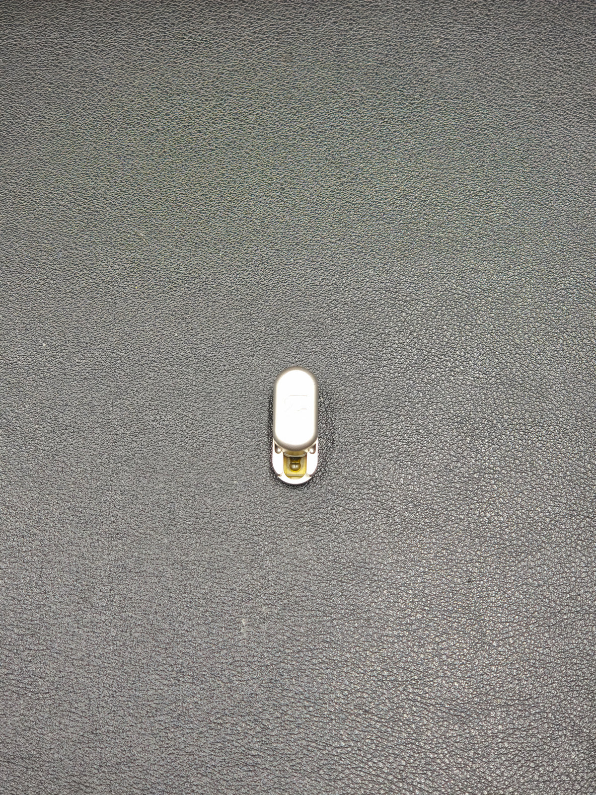 Bean Z Stainless Steel
