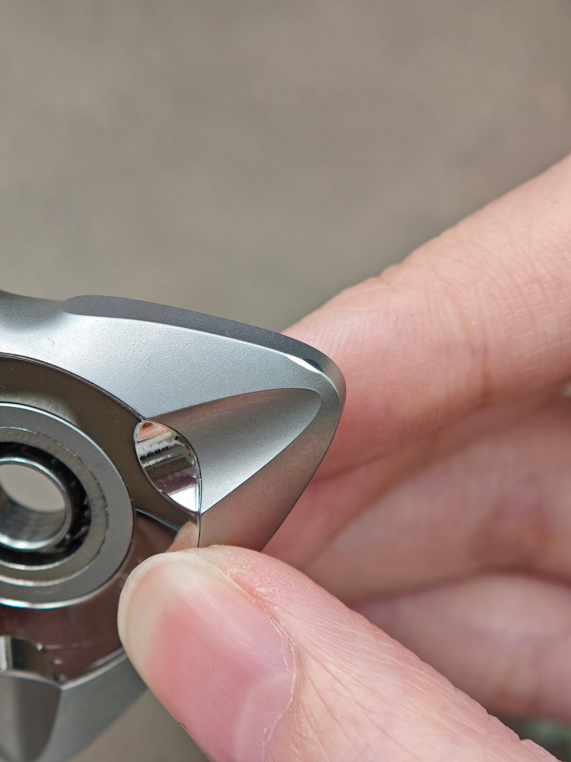Maybe Re Wild Stainless Steel