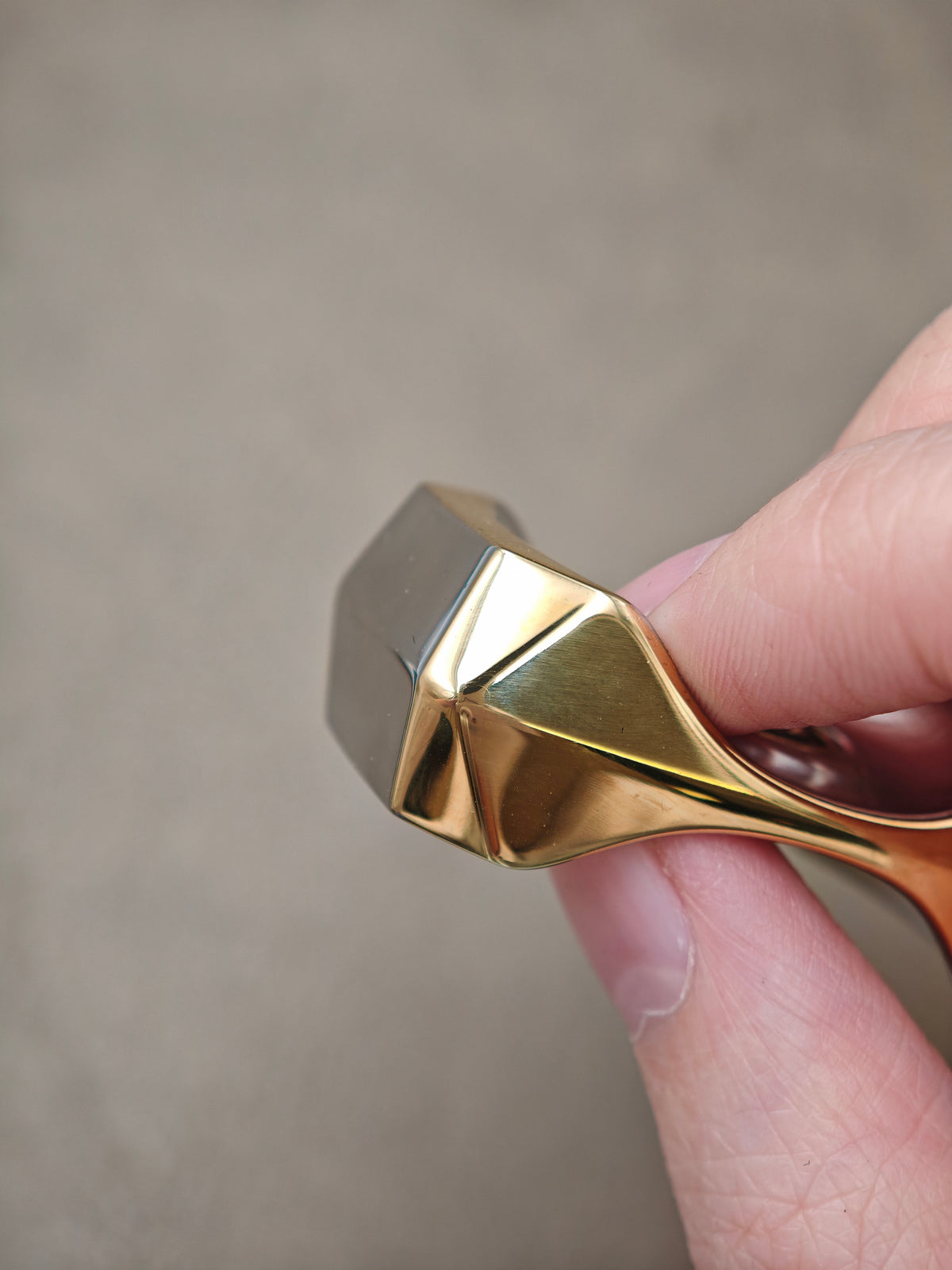 Mighty Tiger Stainless Steel Gold Plated