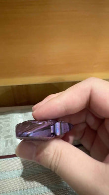 Scorpion Zircuti
