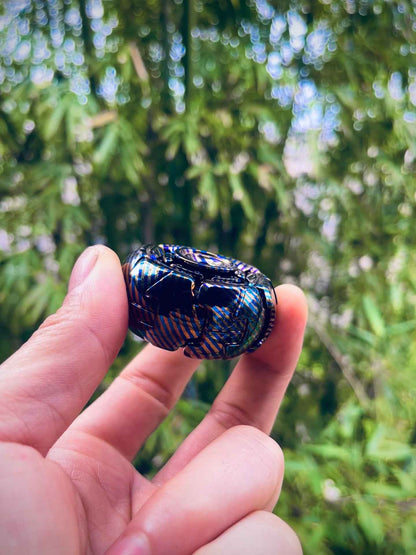 Pillbug Mokuti