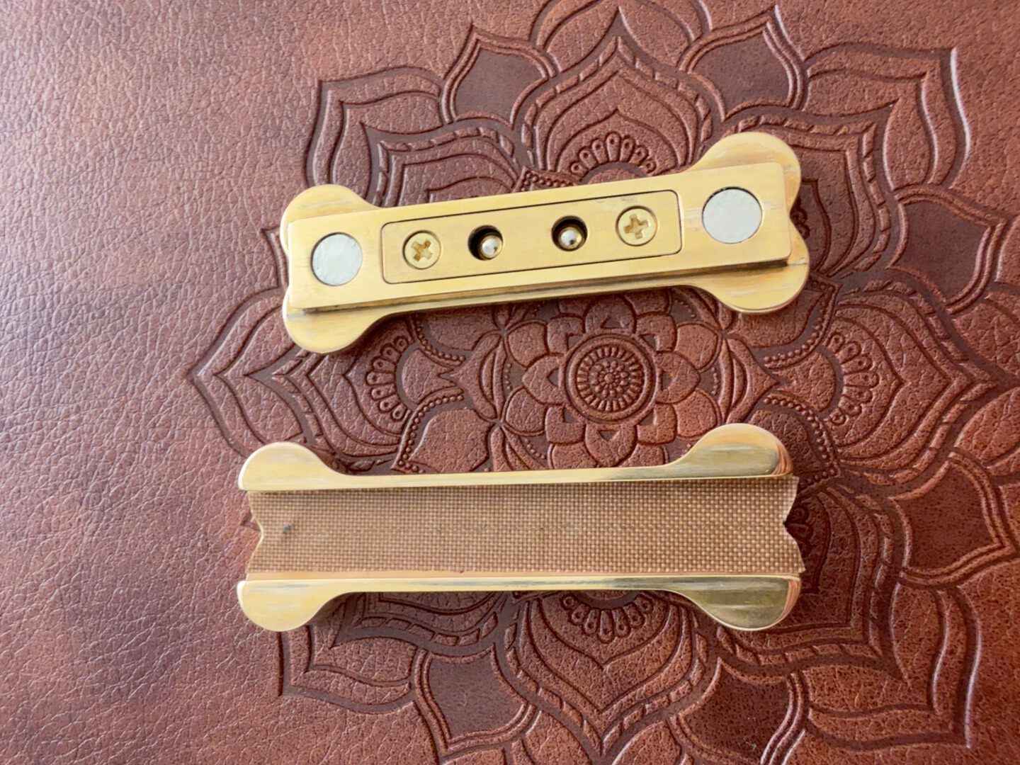 Thorn Light Steam Bone Stainless Steel Brass
