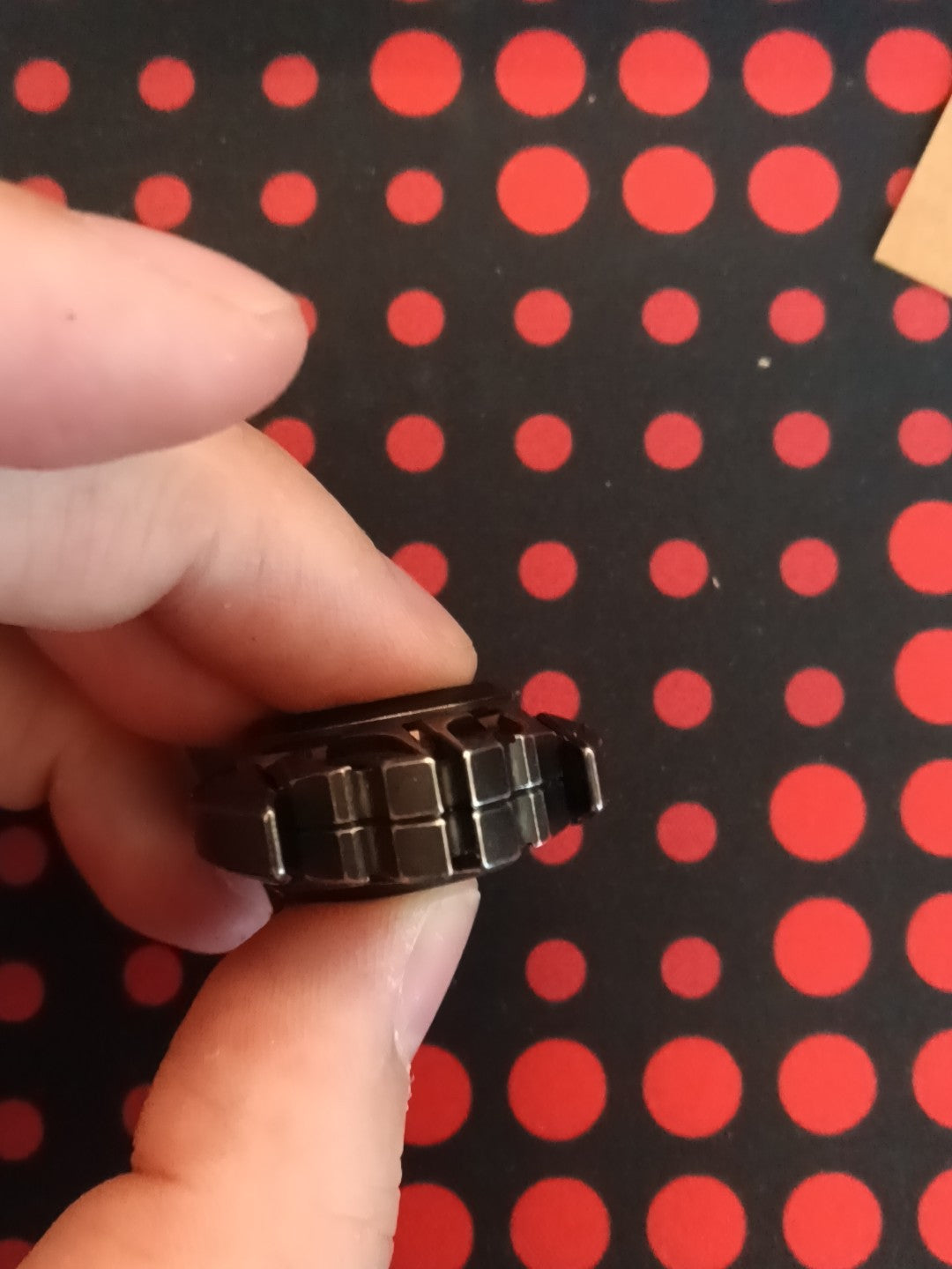 Dark Shell Opening Stainless Steel