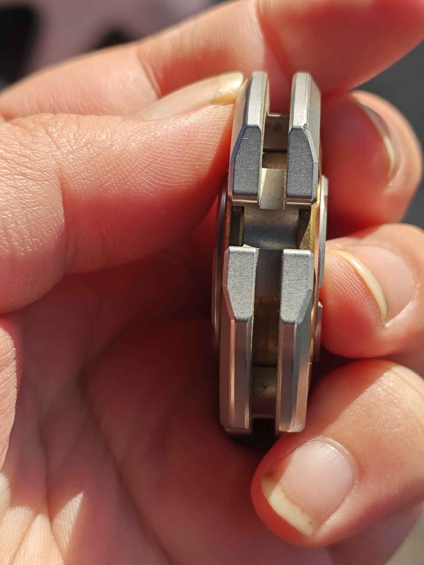Tetra Gladiator Stainless Steel Brass