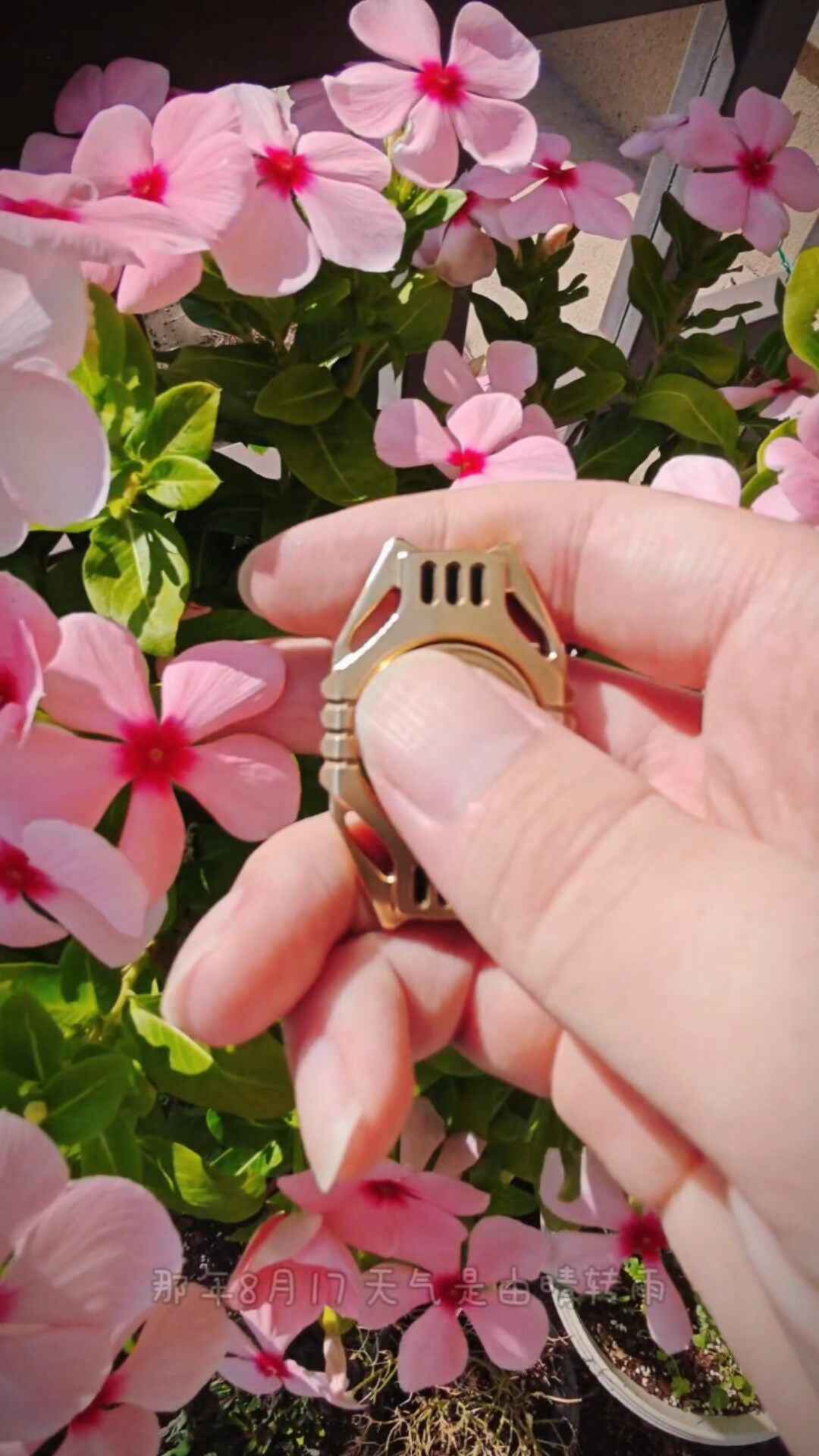 Auspicious Beast Brass