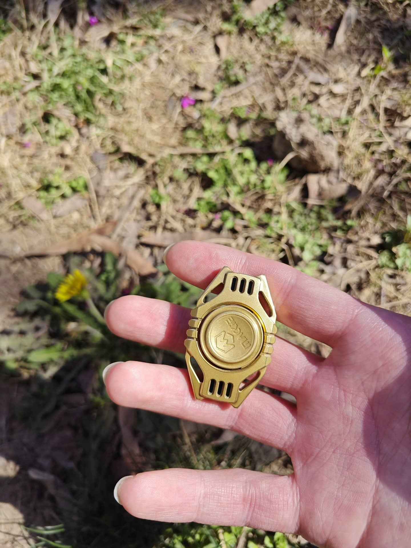 Auspicious Beast Brass