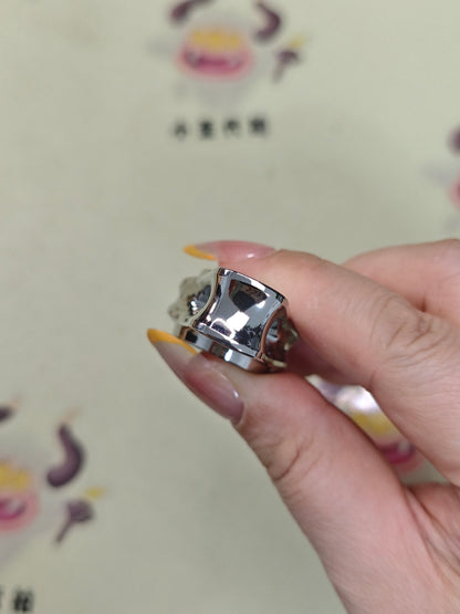 Oumuamua Premium & Buckle Titanium Polished