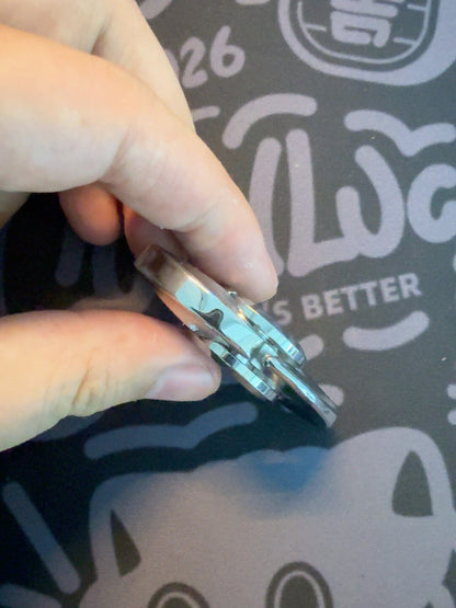 Baby Dolphin Stainless Steel