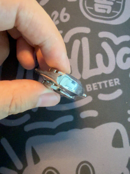 Baby Dolphin Stainless Steel